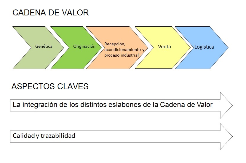 Cadena De Valor De Michael Porter ¿que Es Y Cual Es Su Importancia 3435